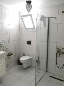a bathroom with a toilet and a shower and a window at Bahama Art Hotel in Turgutreis