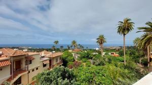 vistas a una ciudad con palmeras y al océano en Casa Katharina - Valle Gran Rey, en Calera
