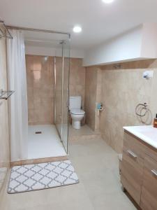 uma casa de banho com um chuveiro e um WC. em DELUXE Studio ATHOS 50 MP Garden patio BENALMADENA Golf & Beach em Benalmádena