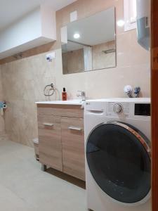 uma máquina de lavar roupa numa cozinha com um lavatório em DELUXE Studio ATHOS 50 MP Garden patio BENALMADENA Golf & Beach em Benalmádena