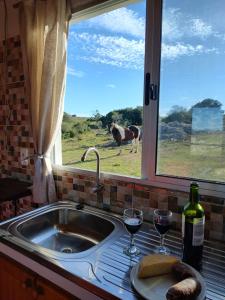eine Küchenspüle mit zwei Gläsern Wein und ein Pferd durch ein Fenster in der Unterkunft Las Carobas in Minas
