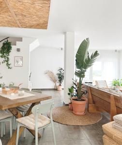 Afbeelding uit fotogalerij van Sãone Guesthouse - Coworking & Retreat Location in Ericeira