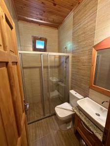 ein Bad mit einer Dusche, einem WC und einem Waschbecken in der Unterkunft Sedir Palas in Cıralı