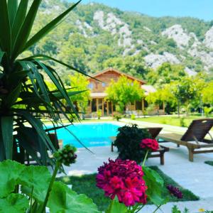 Gallery image of Sedir Palas in Cıralı