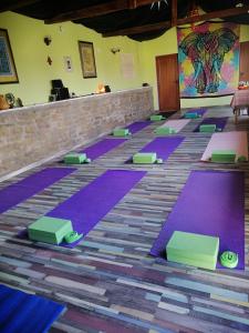 una fila de esterillas de yoga púrpura en el suelo de una habitación en Calla Retreat, en Vezenkovo