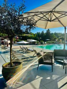 a tree in a pot next to a swimming pool at MIRAMARE Romantic Experience with privat Jacuzzi - floating house in Portorož