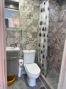 un bagno con un water e un lavandino di Blue studio a Néa Michanióna