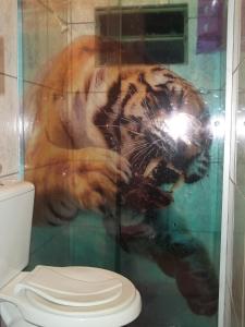 una tigre sotto la doccia in un bagno con wc di Pousada Encanto e Magia a São Thomé das Letras Altre 66 foto