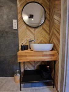 ein Bad mit einem Waschbecken und einem Spiegel in der Unterkunft Apartamenty Fabrykanta Nowe Centrum Łodzi in Łódź