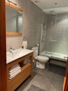 La salle de bains est pourvue d'un lavabo, de toilettes et d'une douche. dans l'établissement Casa Calderón, à Marbella