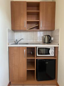 a kitchen with a sink and a microwave at Stacja Akacja in Kąty Rybackie