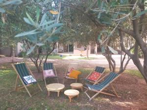 a group of chairs sitting in the grass under a tree at la Paysanne by Souna in Marrakech