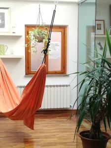 een hangmat in een kamer met planten bij Un Patio in centro in Perugia