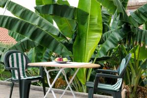 Κήπος έξω από το Thimios Rooms