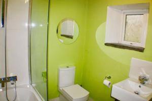 a green bathroom with a toilet and a sink at Mount Barn in Newcastle Emlyn