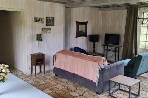 TV a/nebo společenská místnost v ubytování Gite La Vieille Ferme