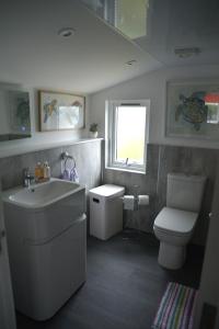 a bathroom with a sink and a toilet and a window at St Duthus Hotel Apartment in Tain