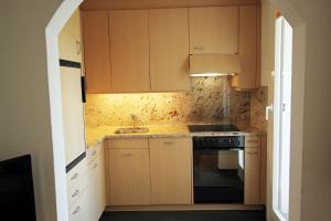 a small kitchen with wooden cabinets and a sink at Residenza Lagrev 2 Zimmerwohnung Nr 005 - Typ 21A - Hochparterre - Süd in Sils Maria