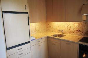 a kitchen with a white refrigerator and a sink at Residenza Lagrev 2 Zimmerwohnung Nr 005 - Typ 21A - Hochparterre - Süd in Sils Maria