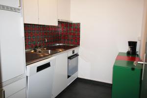 Η κουζίνα ή μικρή κουζίνα στο Residenza Lagrev 2 Zimmerwohnung Nr 124 - Typ 21B - 1 Etage - Süd