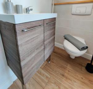 een badkamer met een wastafel en een toilet bij Chambre Arvor avec salle de bains privative dans une résidence avec salon et cuisine partagés in Brest