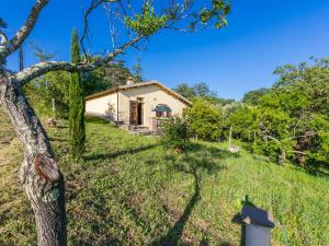 Vonkajšia záhrada v ubytovaní Holiday Home Grilli by Interhome