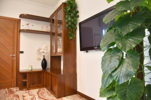 a living room with a tv and a plant at Ornella's apartment - Relax near Venice in Boion