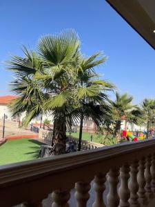 balcone con vista su una palma. di منتجع الجزيرة الخضراء ad Al Hada