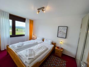 una camera con un letto e una grande finestra di Apartment F 32 by Interhome a Dittishausen