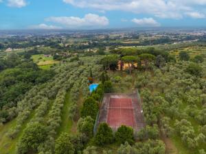 uma vista aérea de um campo de ténis numa floresta em Holiday Home San Lazzaro by Interhome em Montevettolini