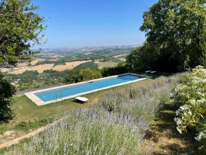 a swimming pool on the side of a hill with flowers at L'Infinito in Mombaroccio