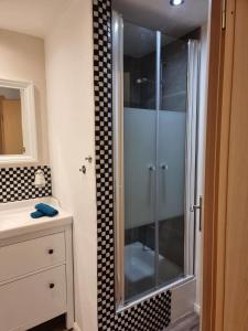 uma casa de banho com um chuveiro e uma porta de vidro em Ferienwohnung - a66157 em Leiwen