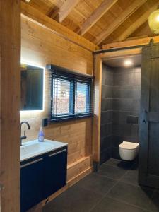 uma casa de banho com um lavatório e um WC em The Miller's Lodge B&B 