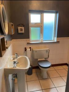 a bathroom with a toilet and a sink and a window at Ard Falcon in Cork