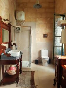 a bathroom with a shower and a sink and a toilet at Myrtle Suite - Valletta ground floor apartment in Valletta