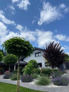 Zahrada ubytování HORTUS apartament z klimatyzacją
