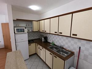 a small kitchen with a sink and a refrigerator at Villa Antonia in Medulin