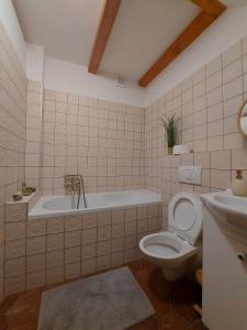 La salle de bains est pourvue d'une baignoire, de toilettes et d'un lavabo. dans l'établissement U Maliny Děčín - apartmán Viktorie, à Malá Veleň