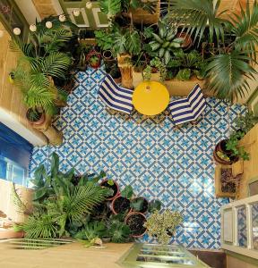 an overhead view of a room filled with potted plants at Myrtle Suite - Valletta ground floor apartment in Valletta