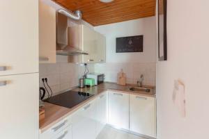 Kuchyň nebo kuchyňský kout v ubytování Apartma Alpine Space, Kranjska Gora - Center + 16 fotografií