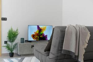 a living room with a couch and a tv at Precioso Estudio junto a la catedral in Burgos