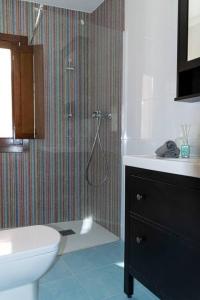 a bathroom with a shower and a toilet and a sink at Precioso Estudio junto a la catedral in Burgos +8 photos