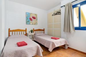 1 Schlafzimmer mit 2 Betten und einem Fenster in der Unterkunft Apartamento Callao, La Graciosa in Caleta de Sebo