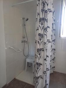 uma casa de banho com chuveiro e cortina de chuveiro em Air de vacances em Clermont-lʼHérault