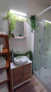 a bathroom with a sink and a shower and a mirror at gîte Maison entière 6 personnes in Saint-Julien-de-Chédon