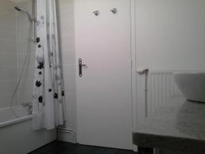 y baño con cortina de ducha y lavamanos. en Location Duverger, en Vendôme