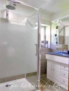 a bathroom with a shower and a sink at Gîte familial pour 6 pers en campagne in Bouère