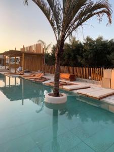een palmboom in het midden van een zwembad bij Khroma Luxury Suite 2 Beach front apartment in Chersonissos