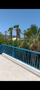 a blue fence on a sidewalk with palm trees at ميراج باى in Safaga