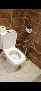 a bathroom with a toilet with a cleaning brush and a roll of toilet paper at ميراج باى in Safaga